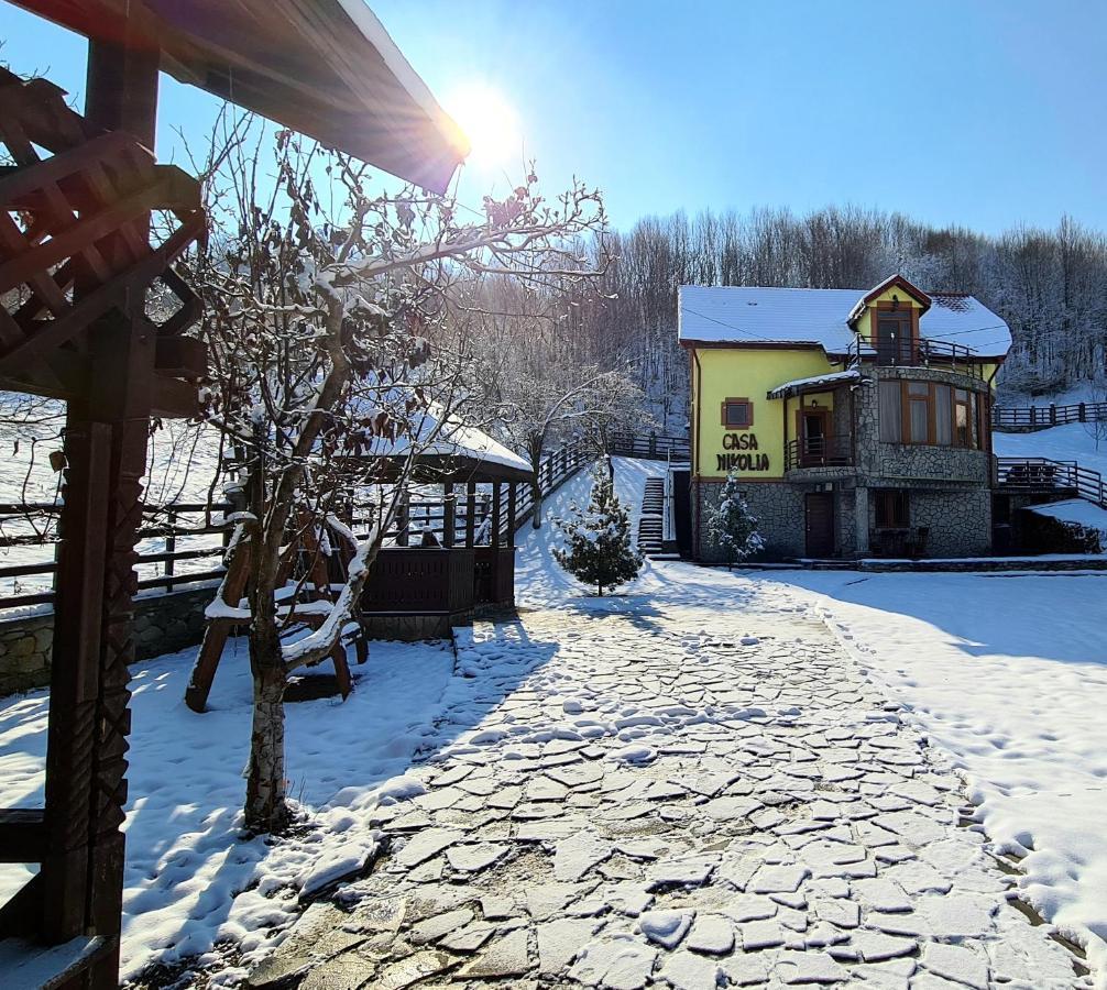 Hotel Casa Nikolia Măgura Esterno foto