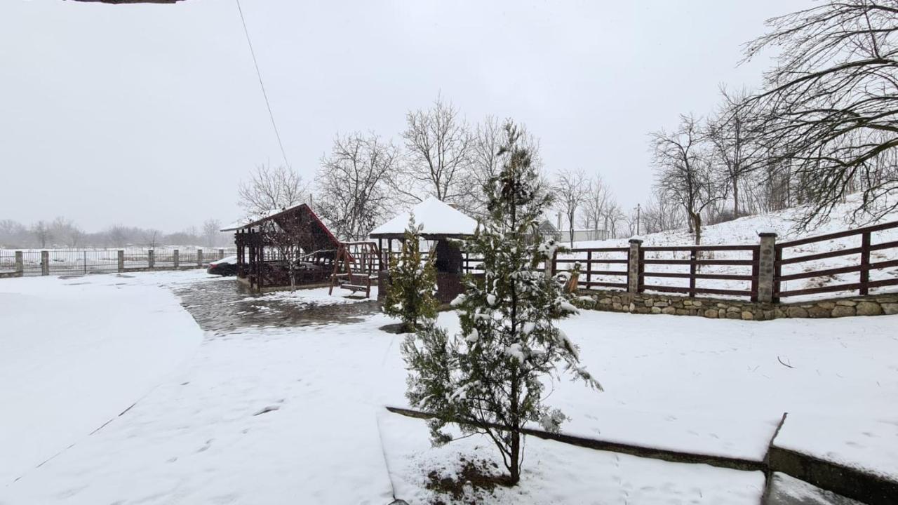 Hotel Casa Nikolia Măgura Esterno foto