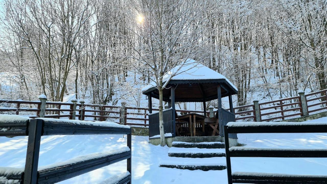 Hotel Casa Nikolia Măgura Esterno foto