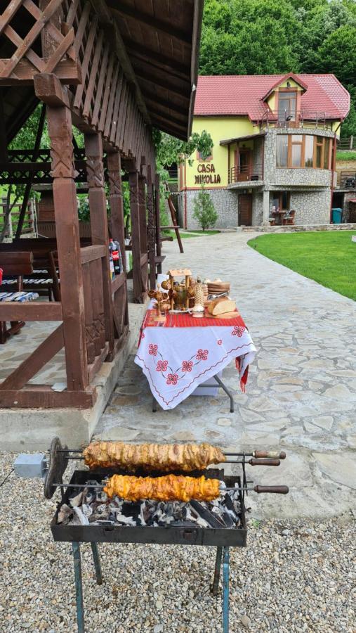 Hotel Casa Nikolia Măgura Esterno foto