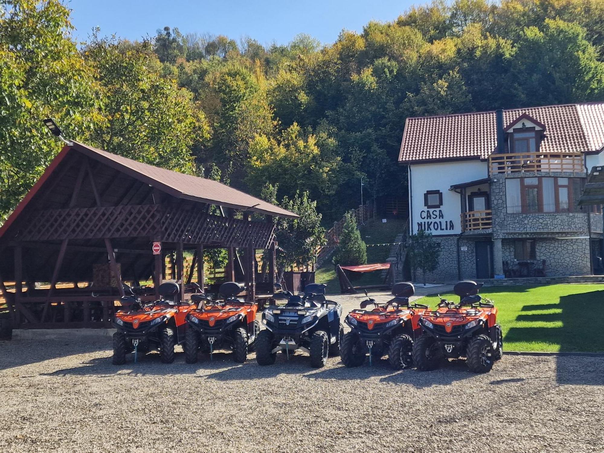 Hotel Casa Nikolia Măgura Esterno foto